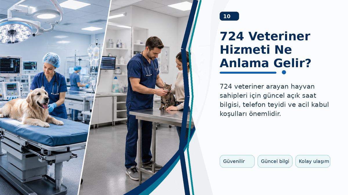 724 Veteriner Hizmeti Ne Anlama Gelir?