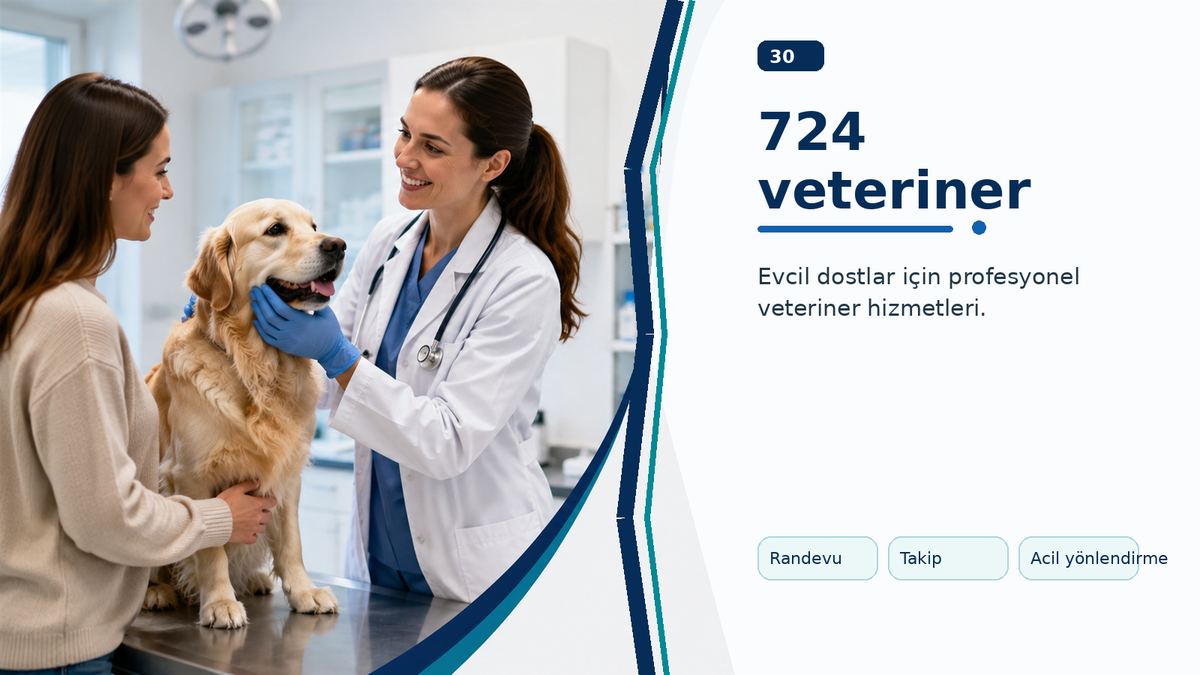 724 Veteriner Hizmeti Ne Anlama Gelir? ikinci görsel