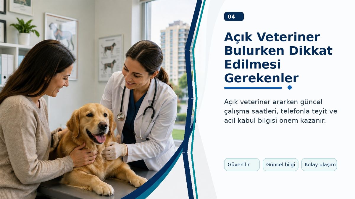 Açık Veteriner Bulurken Dikkat Edilmesi Gerekenler görseli