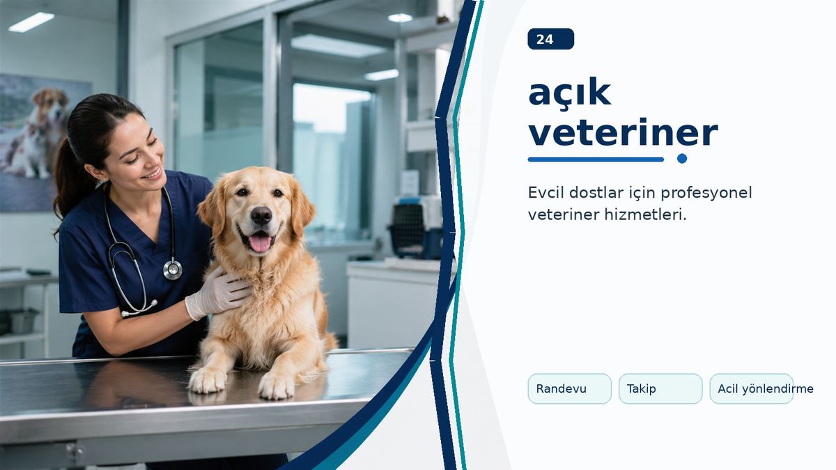 Açık Veteriner Bulurken Dikkat Edilmesi Gerekenler ikinci görsel