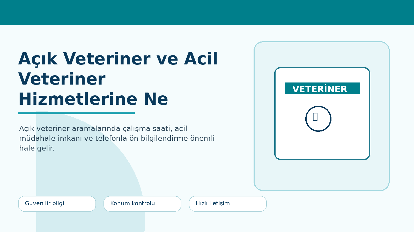 Açık Veteriner ve Acil Veteriner Hizmetlerine Ne Zaman İhtiyaç Duyulur?