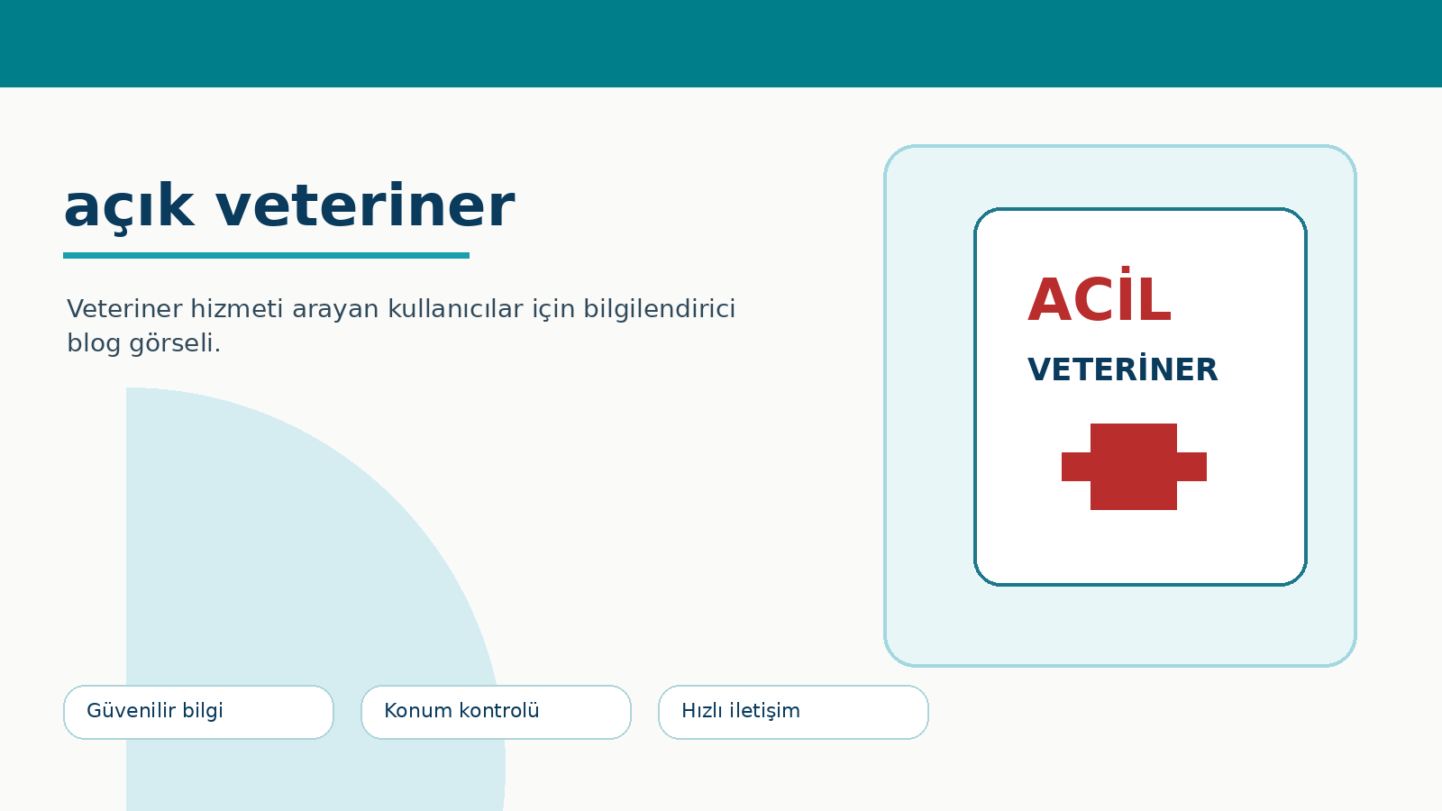 Açık Veteriner ve Acil Veteriner Hizmetlerine Ne Zaman İhtiyaç Duyulur? ikinci görsel