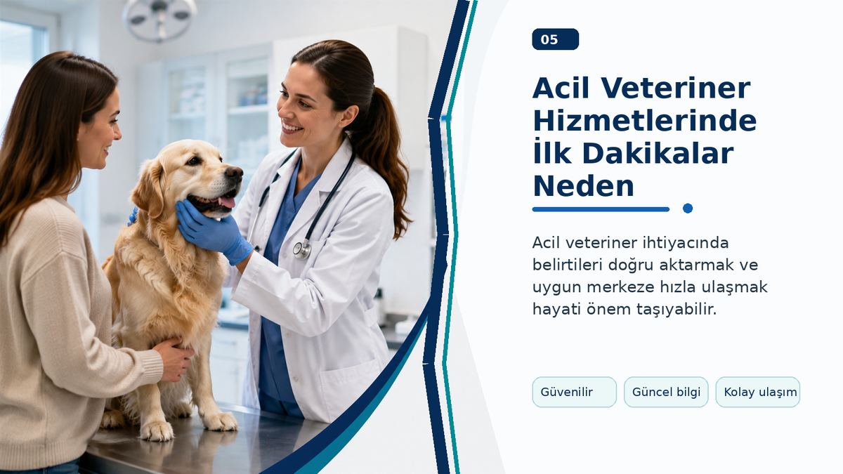Acil Veteriner Hizmetlerinde İlk Dakikalar Neden Önemlidir? görseli