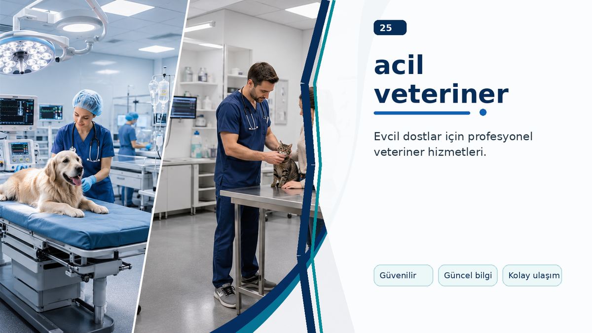 Acil Veteriner Hizmetlerinde İlk Dakikalar Neden Önemlidir? ikinci görsel