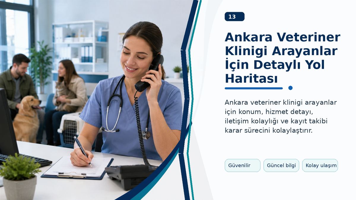 Ankara Veteriner Klinigi Arayanlar İçin Detaylı Yol Haritası görseli