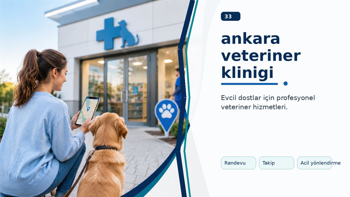Ankara Veteriner Klinigi Arayanlar İçin Detaylı Yol Haritası ikinci görsel