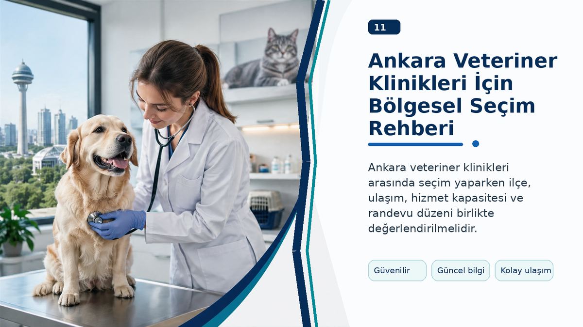 Ankara Veteriner Klinikleri İçin Bölgesel Seçim Rehberi görseli