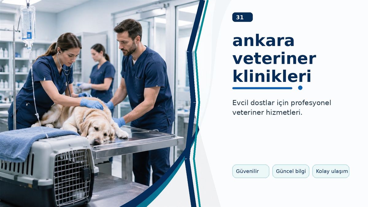 Ankara Veteriner Klinikleri İçin Bölgesel Seçim Rehberi ikinci görsel