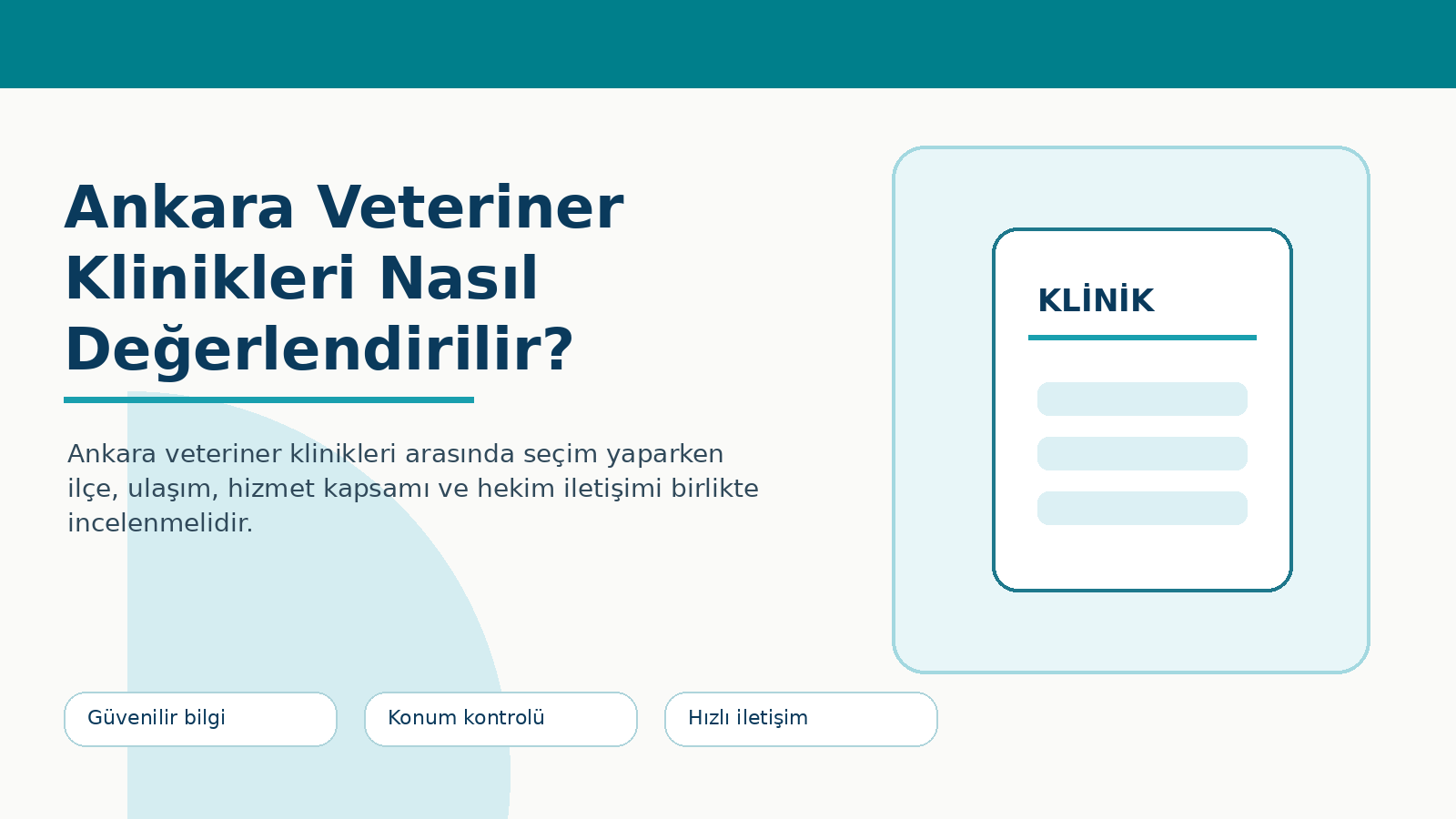 Ankara Veteriner Klinikleri Nasıl Değerlendirilir? görseli