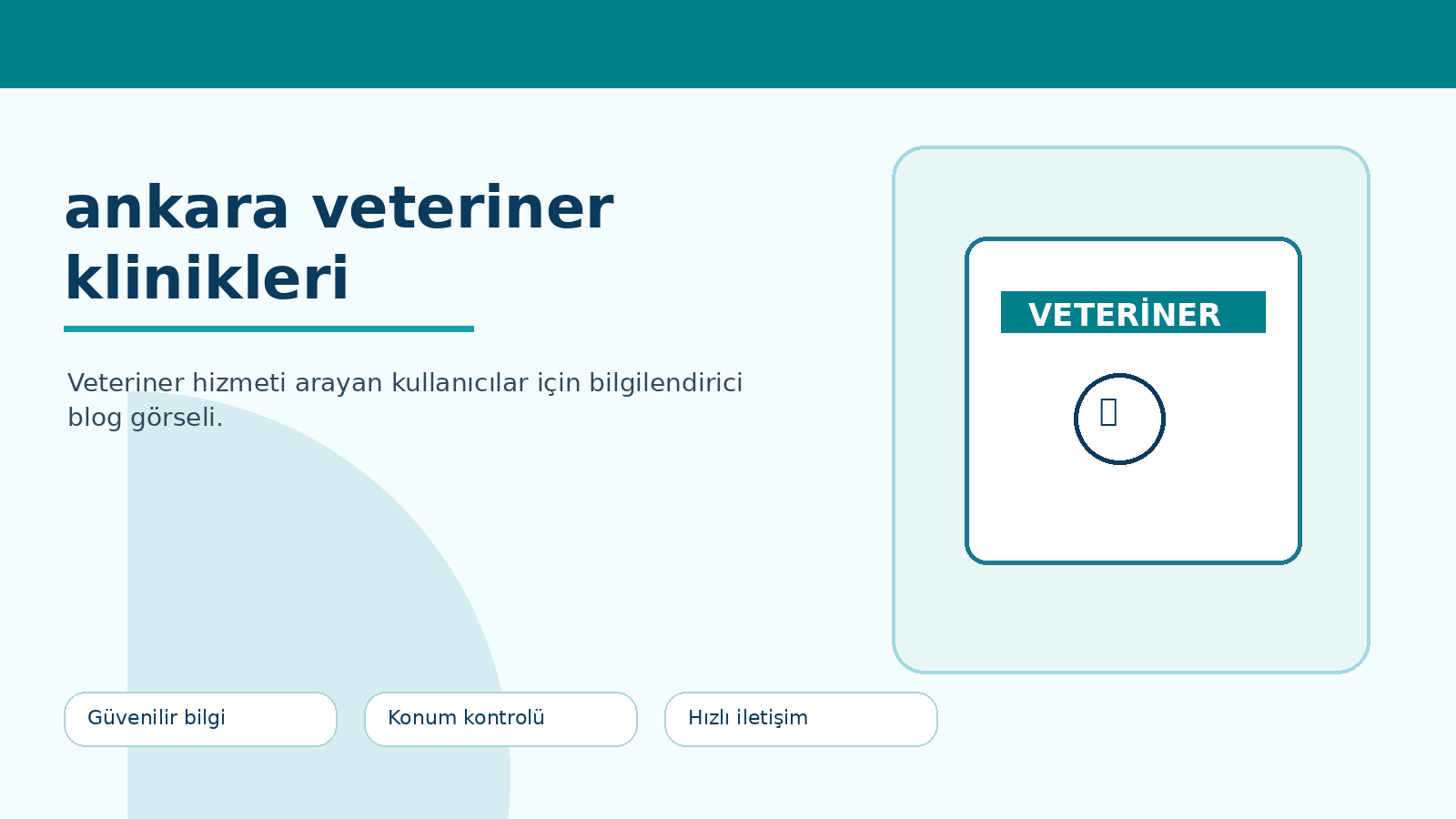 Ankara Veteriner Klinikleri Nasıl Değerlendirilir? ikinci görsel