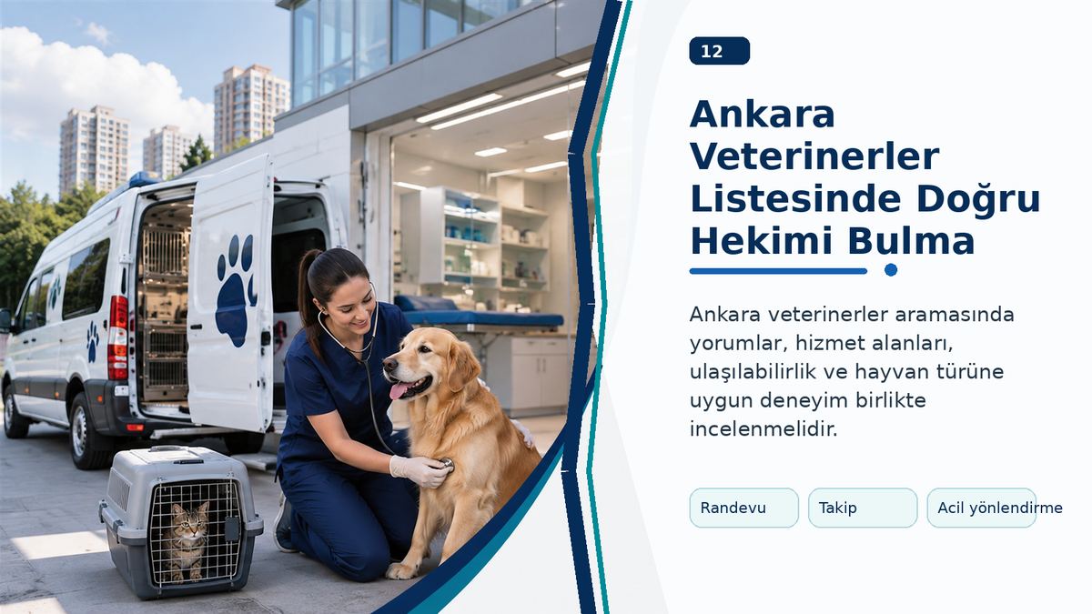 Ankara Veterinerler Listesinde Doğru Hekimi Bulma Yolları görseli