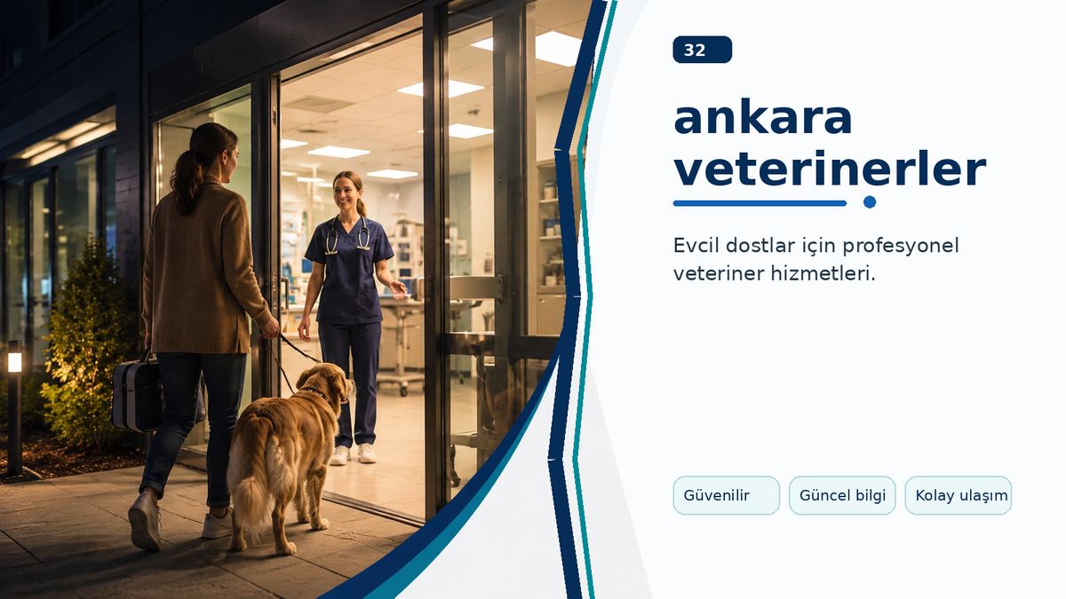 Ankara Veterinerler Listesinde Doğru Hekimi Bulma Yolları ikinci görsel