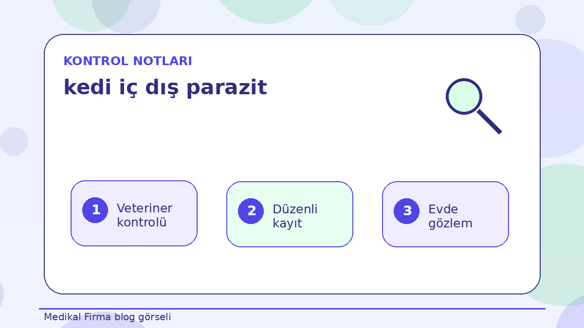 Apartman Kedilerinde Kedi İç Dış Parazit Kontrolü ikinci görsel