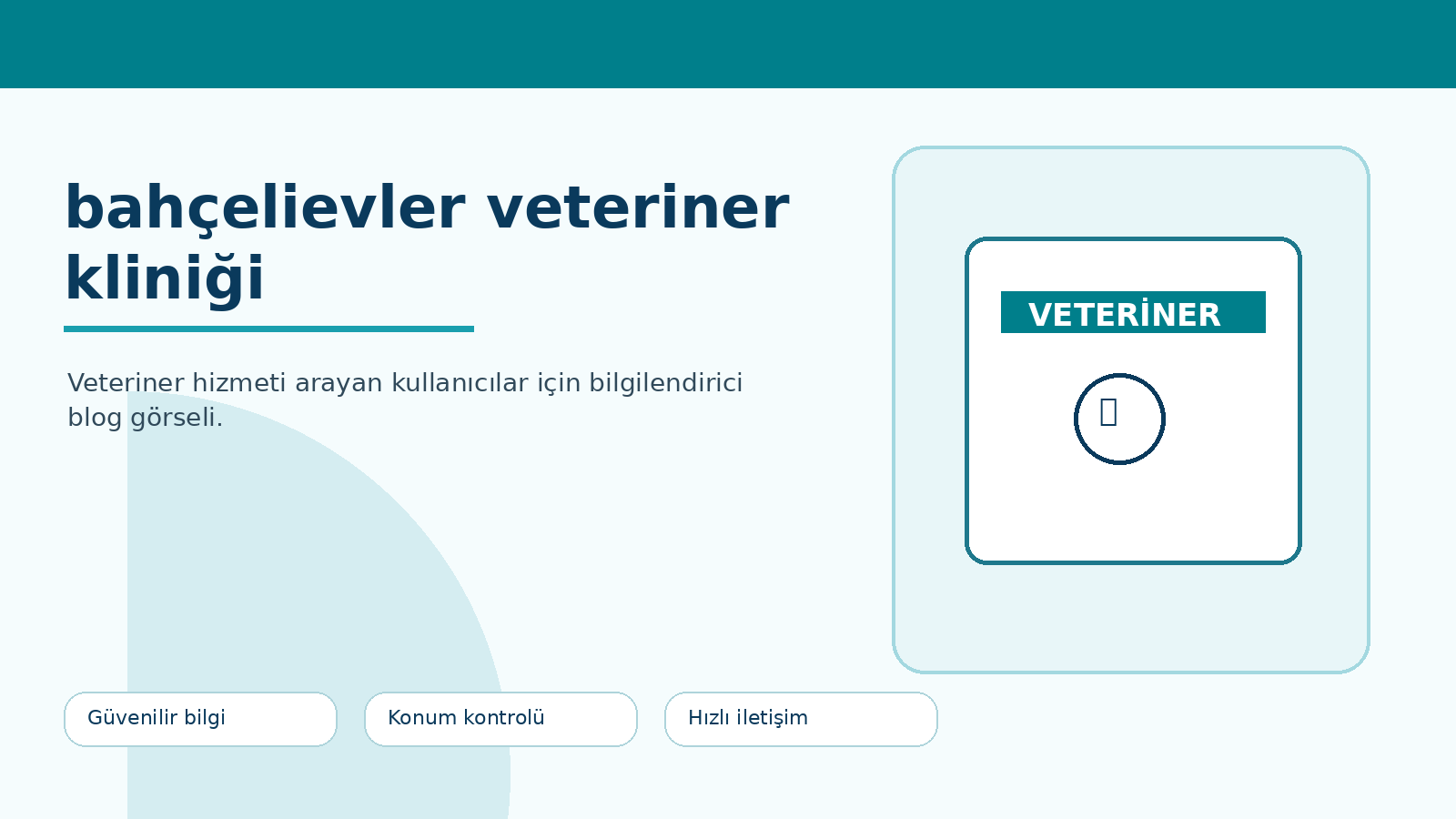 Bahçelievler, Eryaman ve Keçiören Çevresinde Veteriner Hizmeti Arayanlar İçin Rehber ikinci görsel