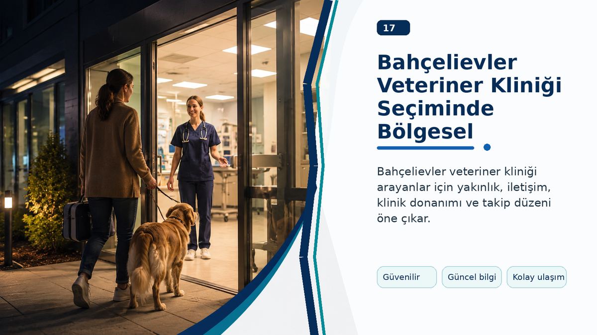 Bahçelievler Veteriner Kliniği Seçiminde Bölgesel Avantajlar görseli