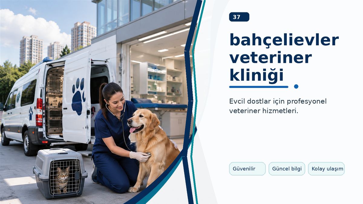 Bahçelievler Veteriner Kliniği Seçiminde Bölgesel Avantajlar ikinci görsel