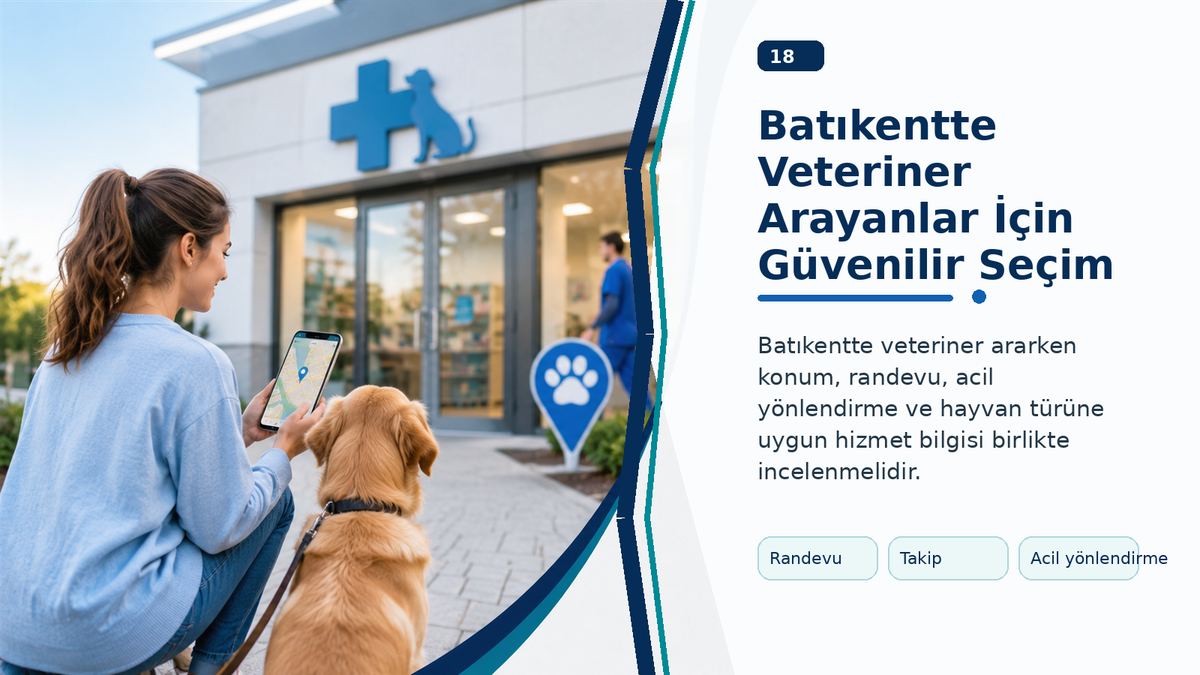Batıkentte Veteriner Arayanlar İçin Güvenilir Seçim Rehberi