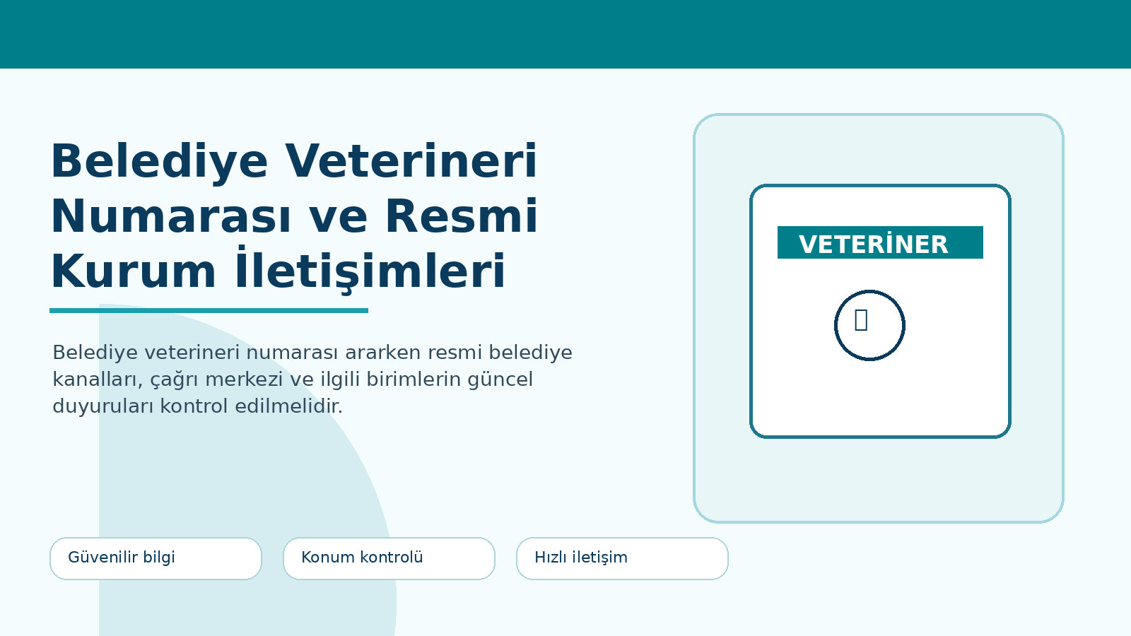 Belediye Veterineri Numarası ve Resmi Kurum İletişimleri görseli