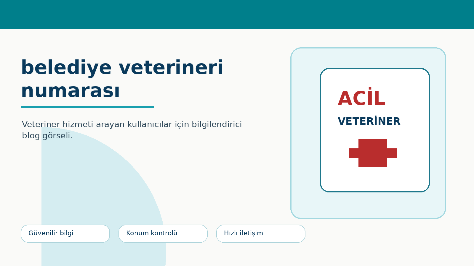 Belediye Veterineri Numarası ve Resmi Kurum İletişimleri ikinci görsel