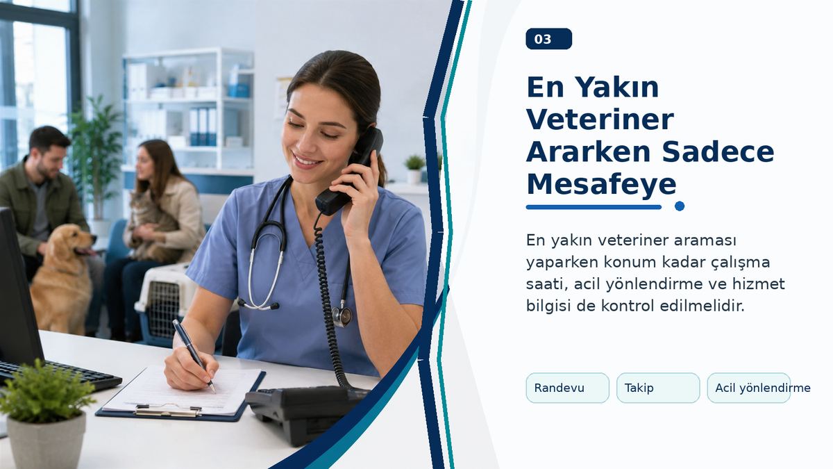 En Yakın Veteriner Ararken Sadece Mesafeye Bakmak Yeterli mi? görseli