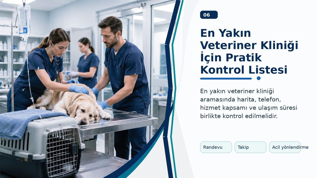 En Yakın Veteriner Kliniği İçin Pratik Kontrol Listesi görseli