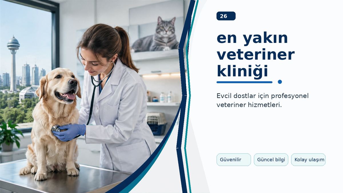 En Yakın Veteriner Kliniği İçin Pratik Kontrol Listesi ikinci görsel