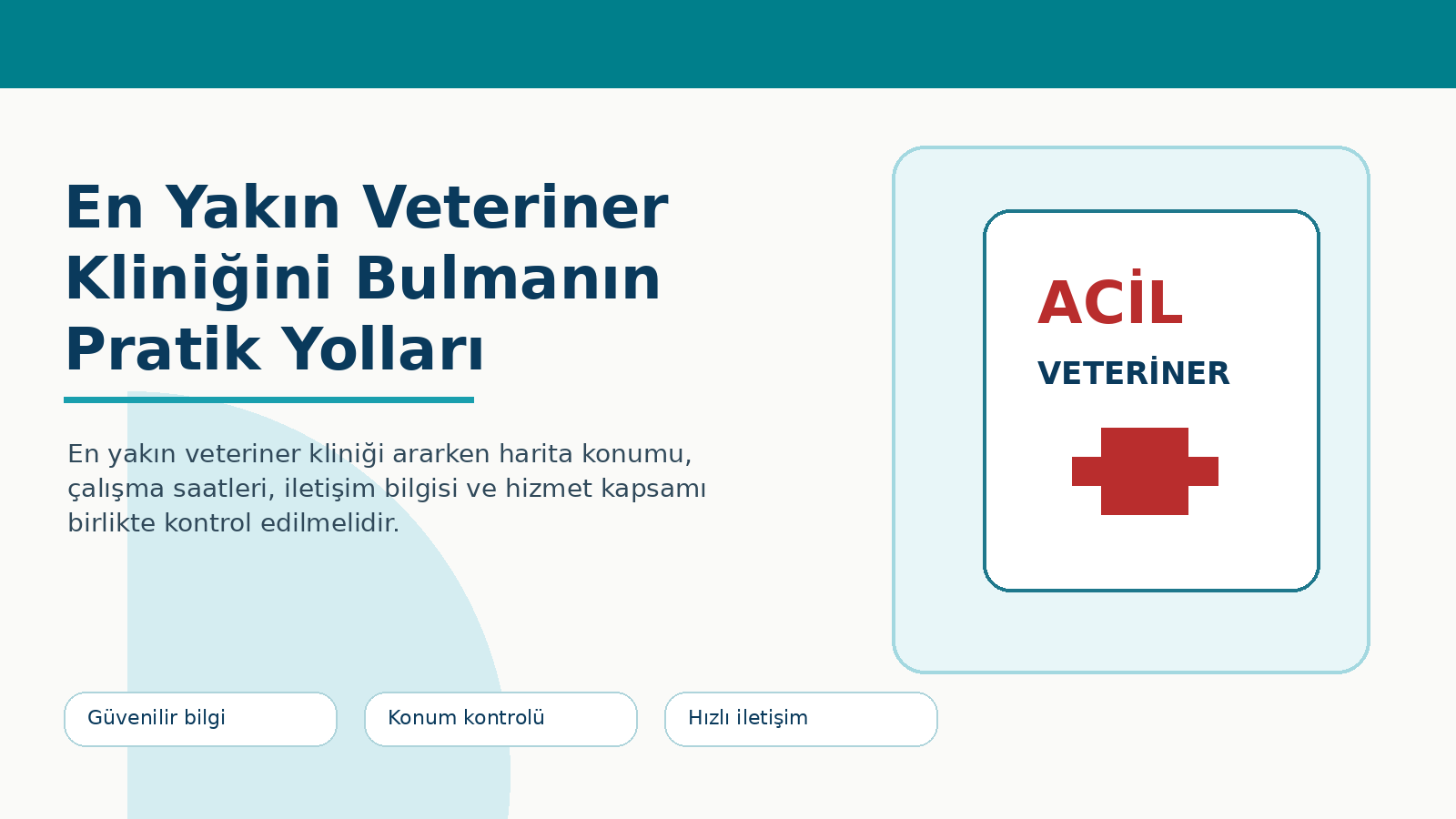 En Yakın Veteriner Kliniğini Bulmanın Pratik Yolları görseli