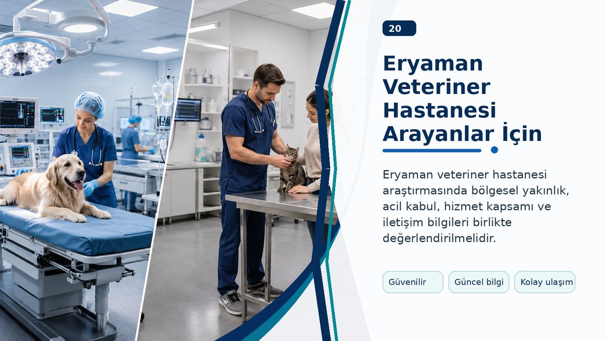Eryaman Veteriner Hastanesi Arayanlar İçin Hizmet ve İletişim Rehberi