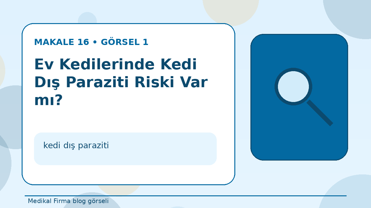 Ev Kedilerinde Kedi Dış Paraziti Riski Var mı?