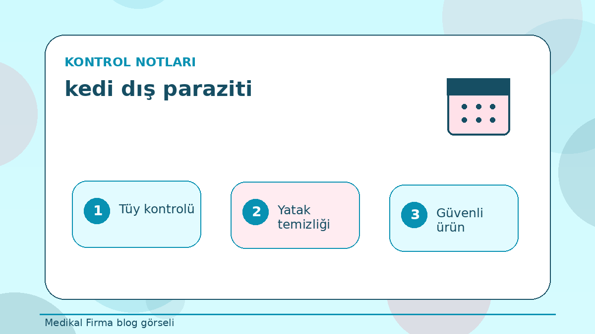 Ev Kedilerinde Kedi Dış Paraziti Riski Var mı? ikinci görsel