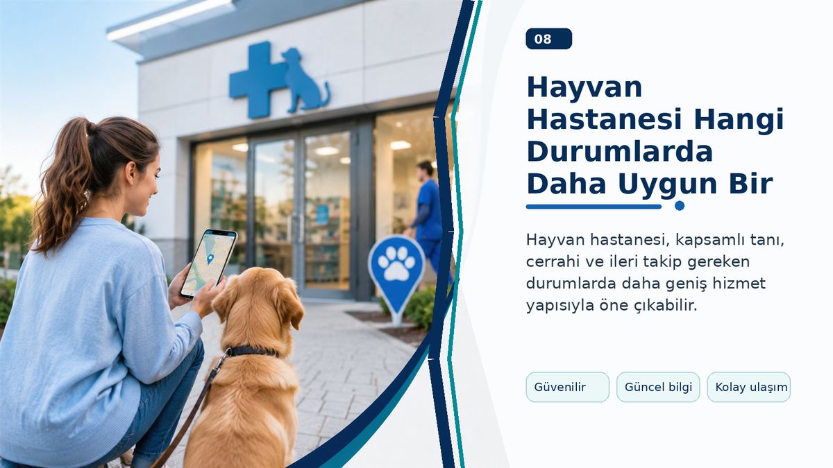 Hayvan Hastanesi Hangi Durumlarda Daha Uygun Bir Seçenektir?