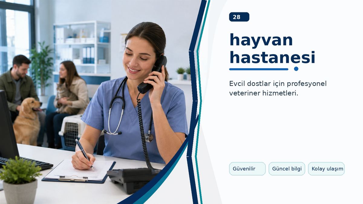 Hayvan Hastanesi Hangi Durumlarda Daha Uygun Bir Seçenektir? ikinci görsel