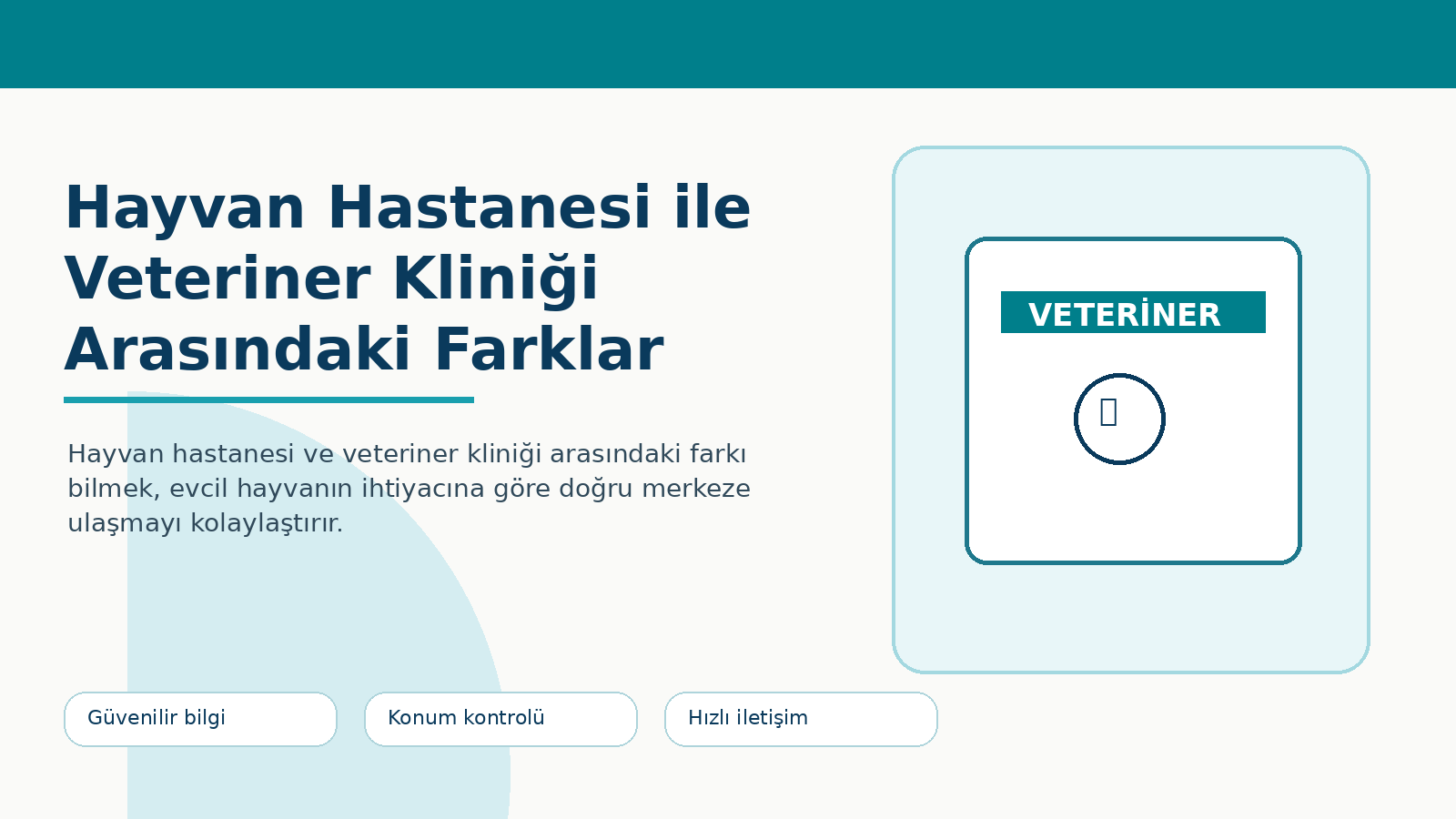 Hayvan Hastanesi ile Veteriner Kliniği Arasındaki Farklar görseli