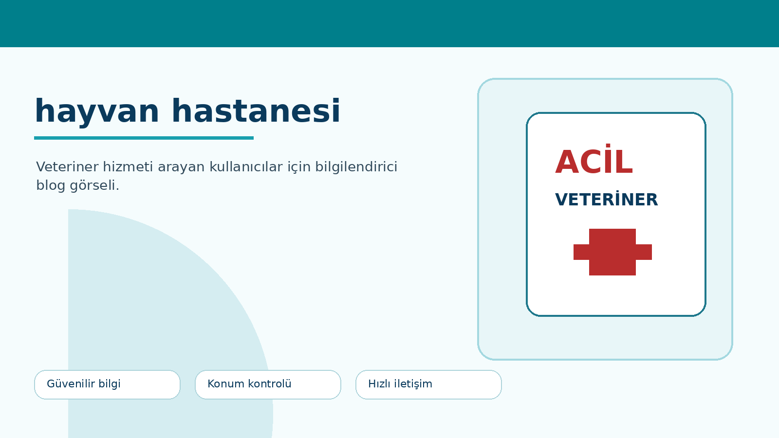 Hayvan Hastanesi ile Veteriner Kliniği Arasındaki Farklar ikinci görsel
