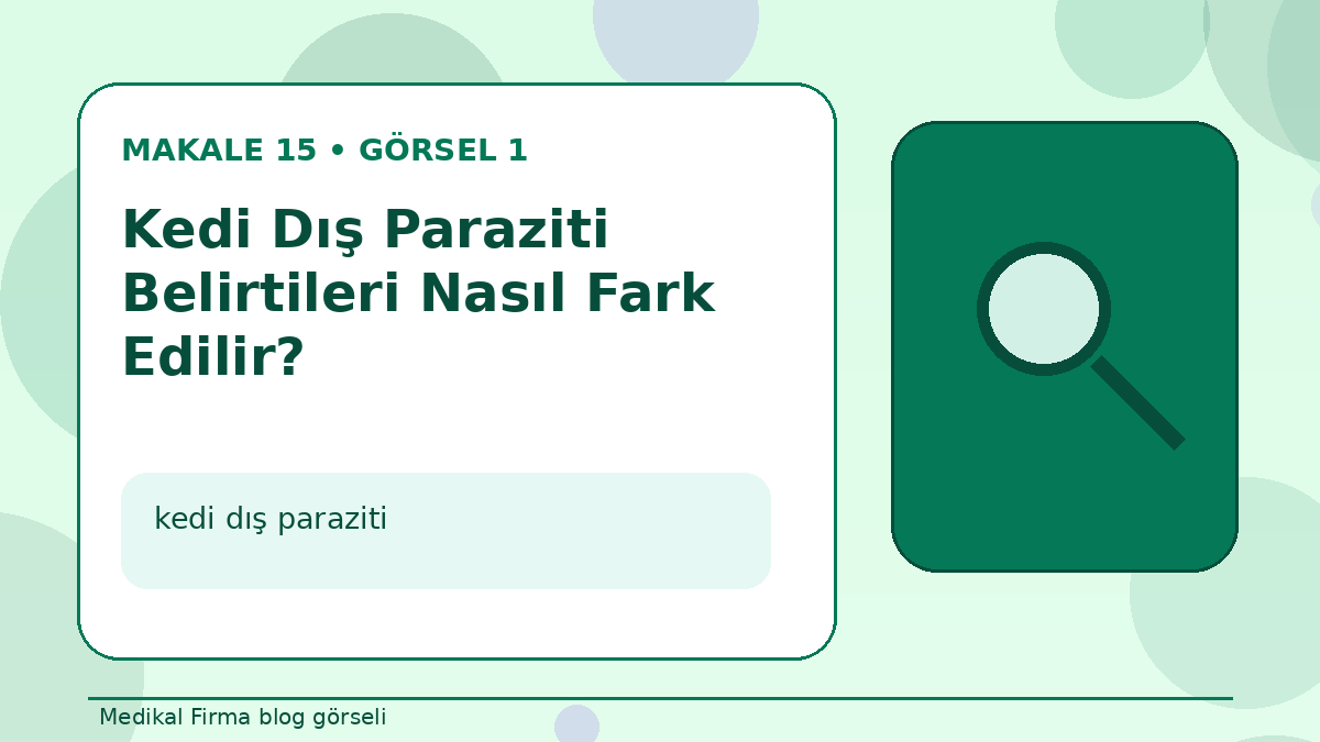 Kedi Dış Paraziti Belirtileri Nasıl Fark Edilir? görseli