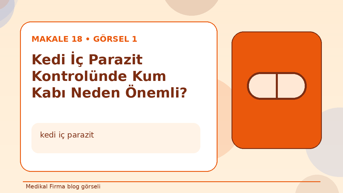 Kedi İç Parazit Kontrolünde Kum Kabı Neden Önemli? görseli