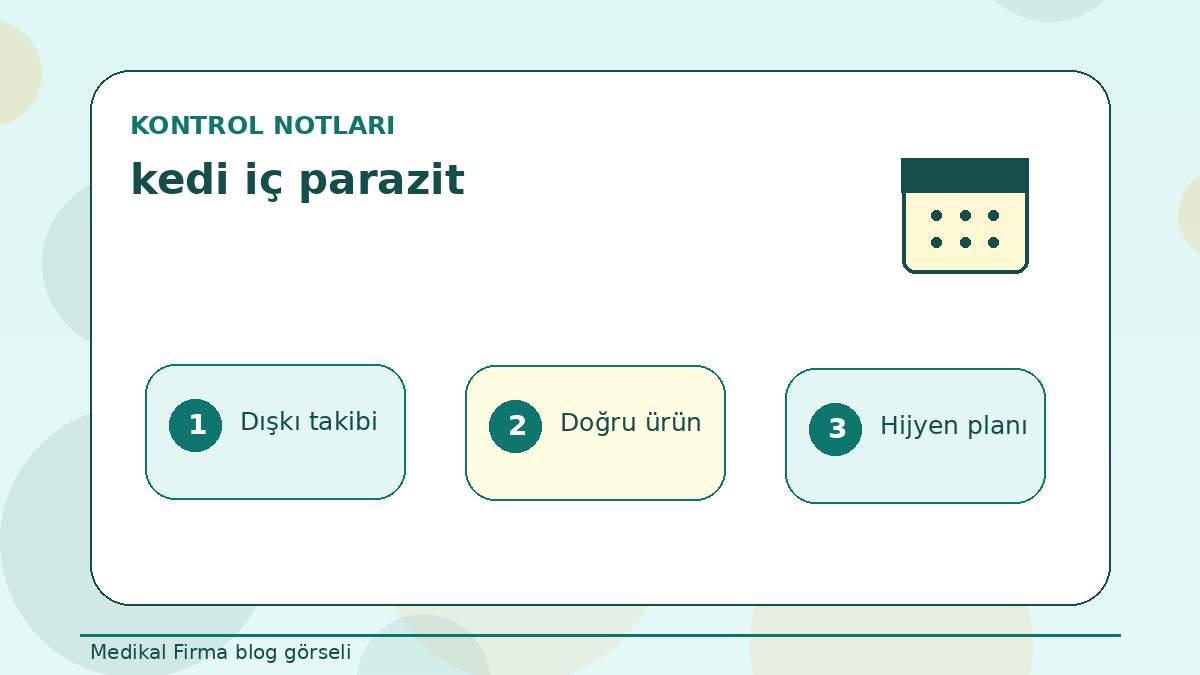 Kedi İç Parazit Kontrolünde Kum Kabı Neden Önemli? ikinci görsel