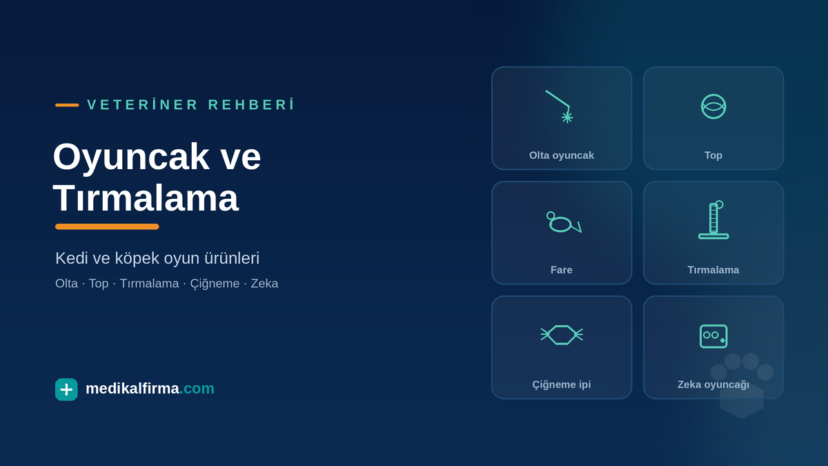 Kedi ve Köpek Oyuncak ve Tırmalama Ürünleri Rehberi