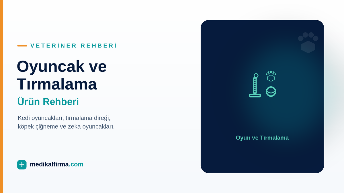Kedi ve Köpek Oyuncak ve Tırmalama Ürünleri Rehberi ikinci görsel