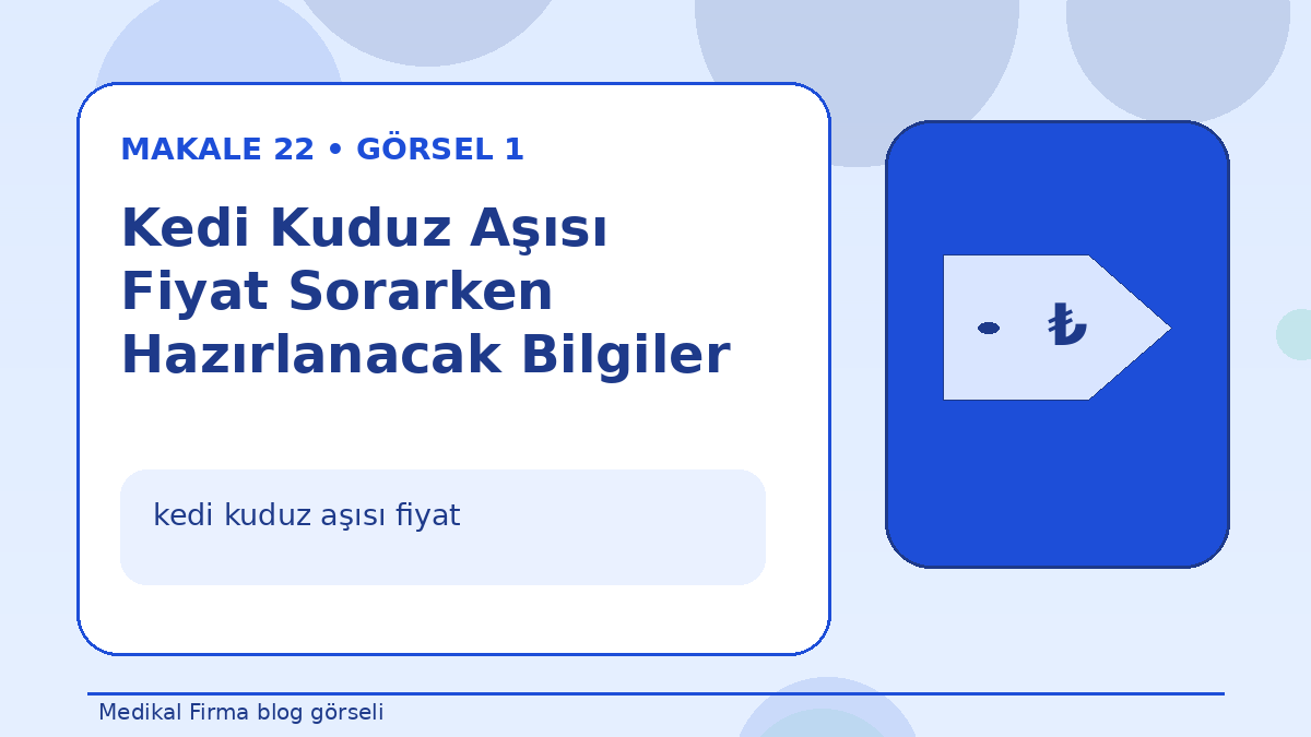 Kedi Kuduz Aşısı Fiyat Sorarken Hazırlanacak Bilgiler