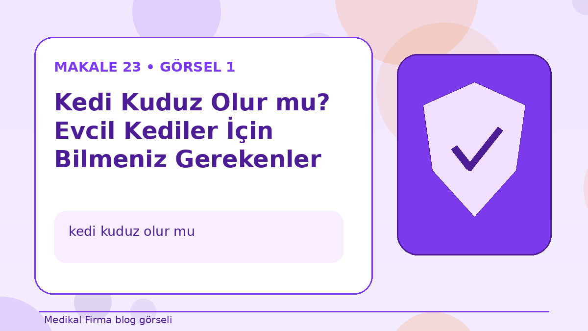 Kedi Kuduz Olur mu? Evcil Kediler İçin Bilmeniz Gerekenler görseli