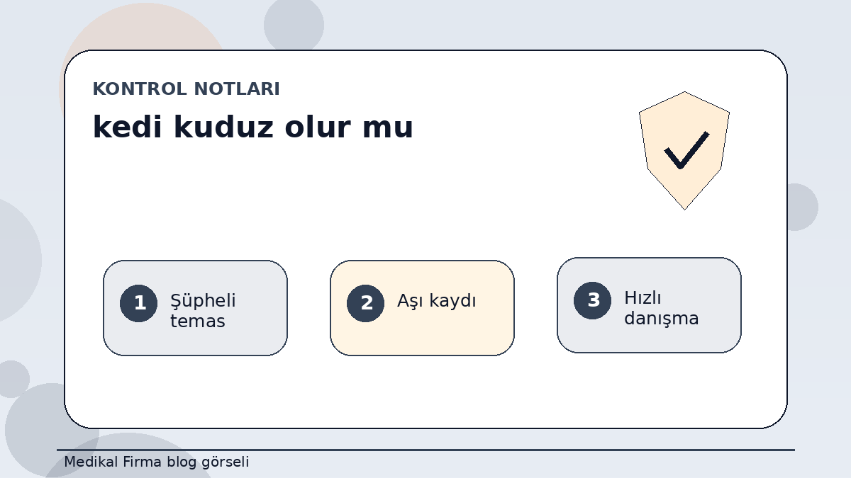 Kedi Kuduz Olur mu? Evcil Kediler İçin Bilmeniz Gerekenler ikinci görsel