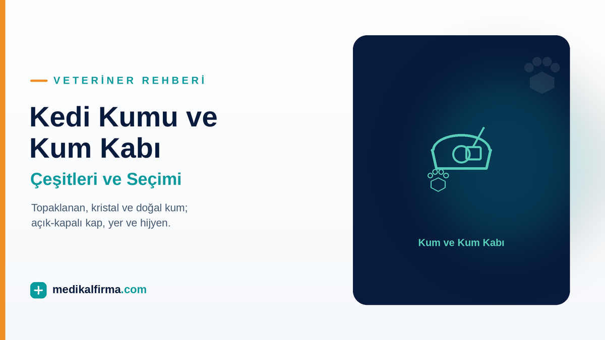 Kedi Kumu Çeşitleri ve Kum Kabı Seçimi Rehberi ikinci görsel
