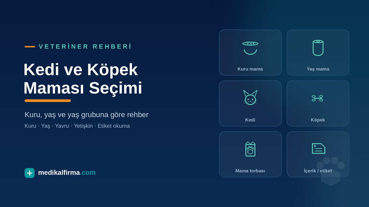 Kedi ve Köpek Maması Seçimi: Kuru, Yaş ve Yaş Grubuna Göre Rehber görseli