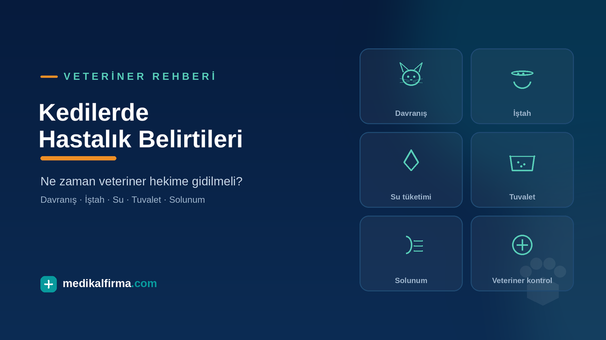 Kedilerde Hastalık Belirtileri: Ne Zaman Veteriner Hekime Gidilmeli?
