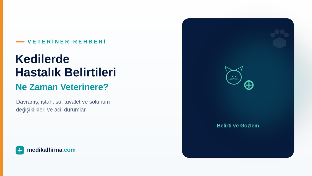 Kedilerde Hastalık Belirtileri: Ne Zaman Veteriner Hekime Gidilmeli? ikinci görsel