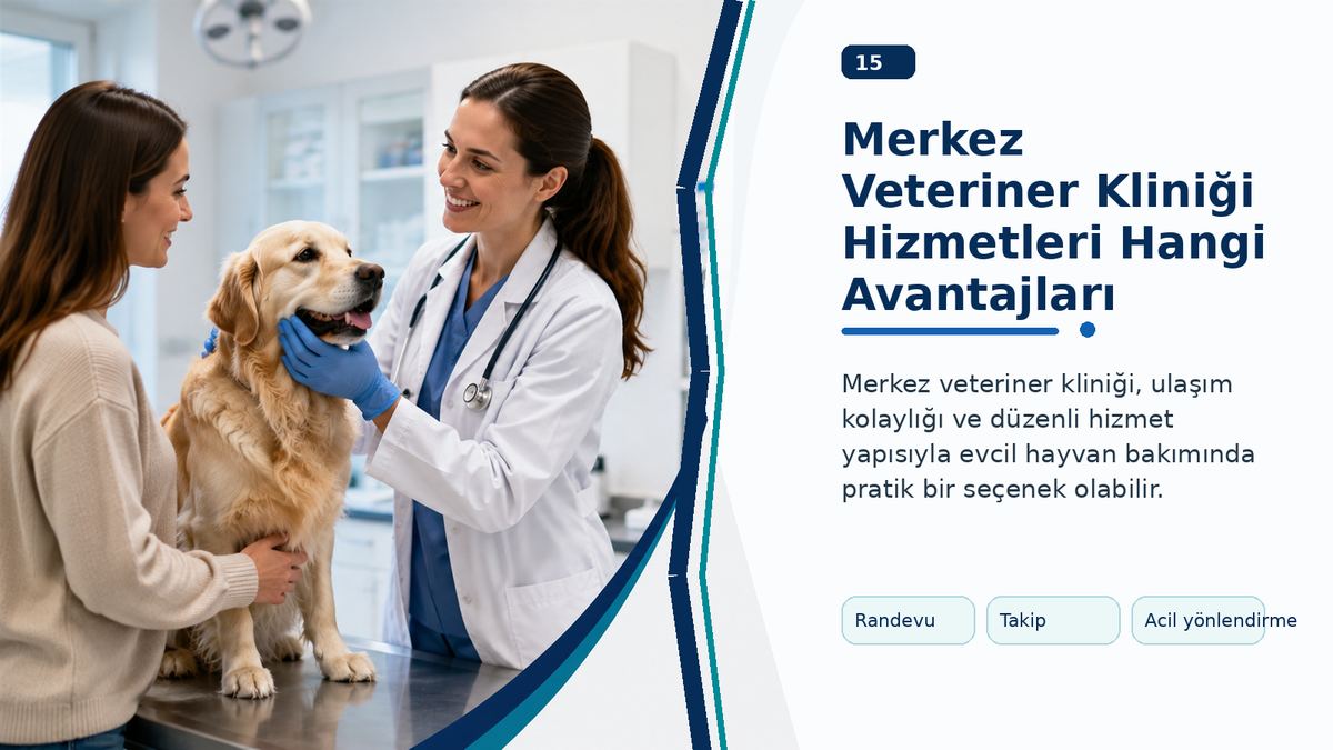 Merkez Veteriner Kliniği Hizmetleri Hangi Avantajları Sunar?
