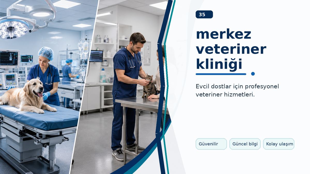 Merkez Veteriner Kliniği Hizmetleri Hangi Avantajları Sunar? ikinci görsel