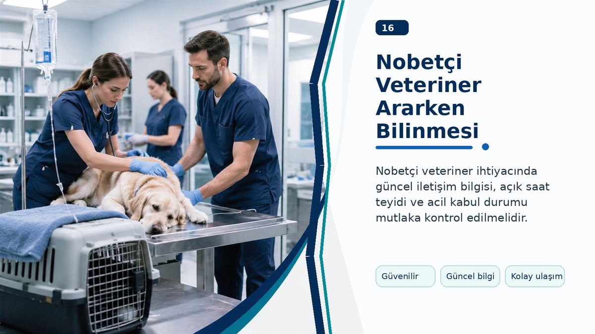 Nobetçi Veteriner Ararken Bilinmesi Gerekenler görseli