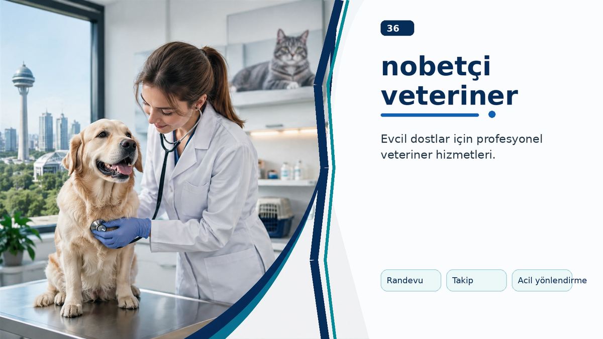 Nobetçi Veteriner Ararken Bilinmesi Gerekenler ikinci görsel